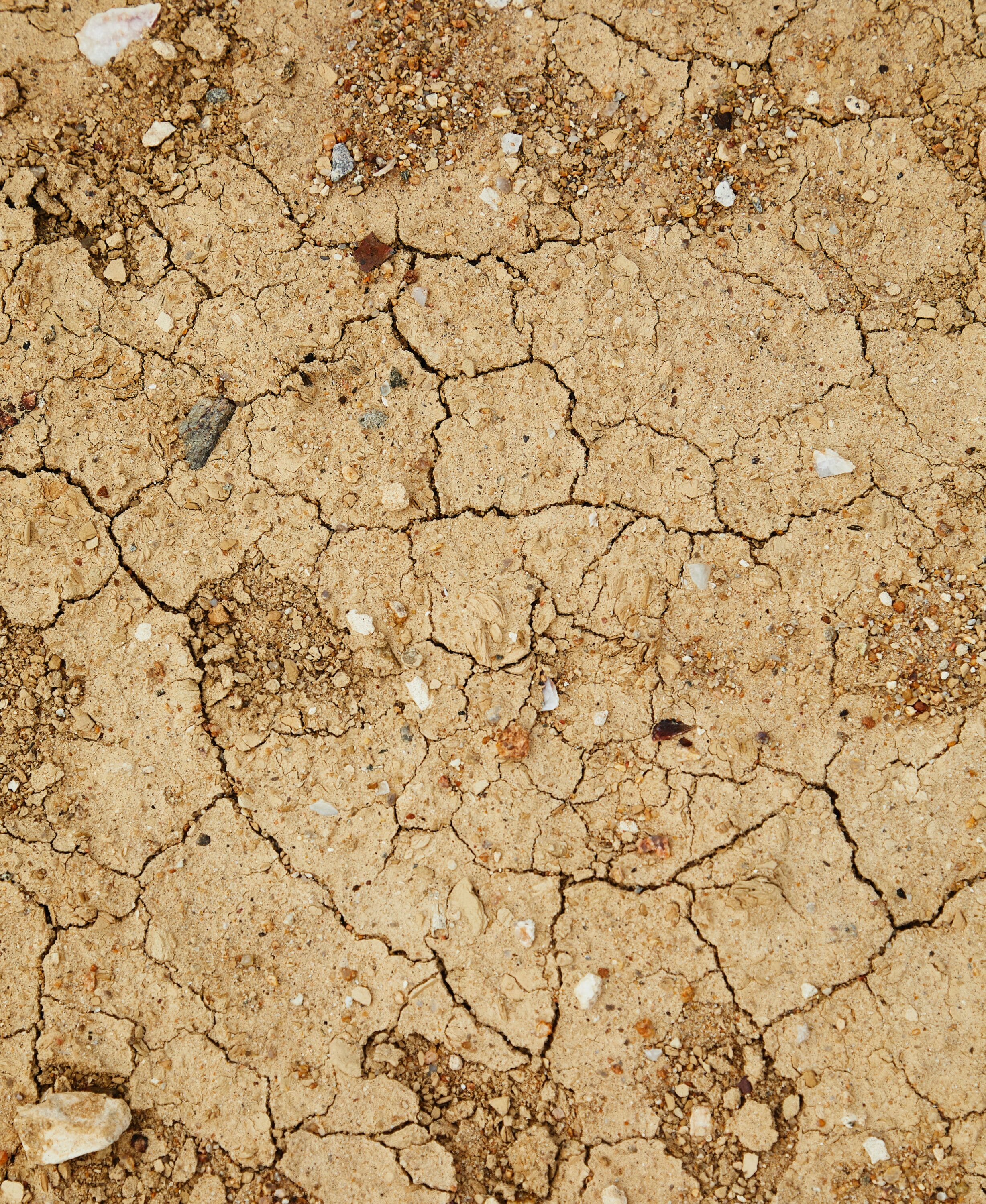 Close up of dried up earth with cracks in it