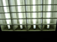 Lampes fluorescentes pour chambre de culture