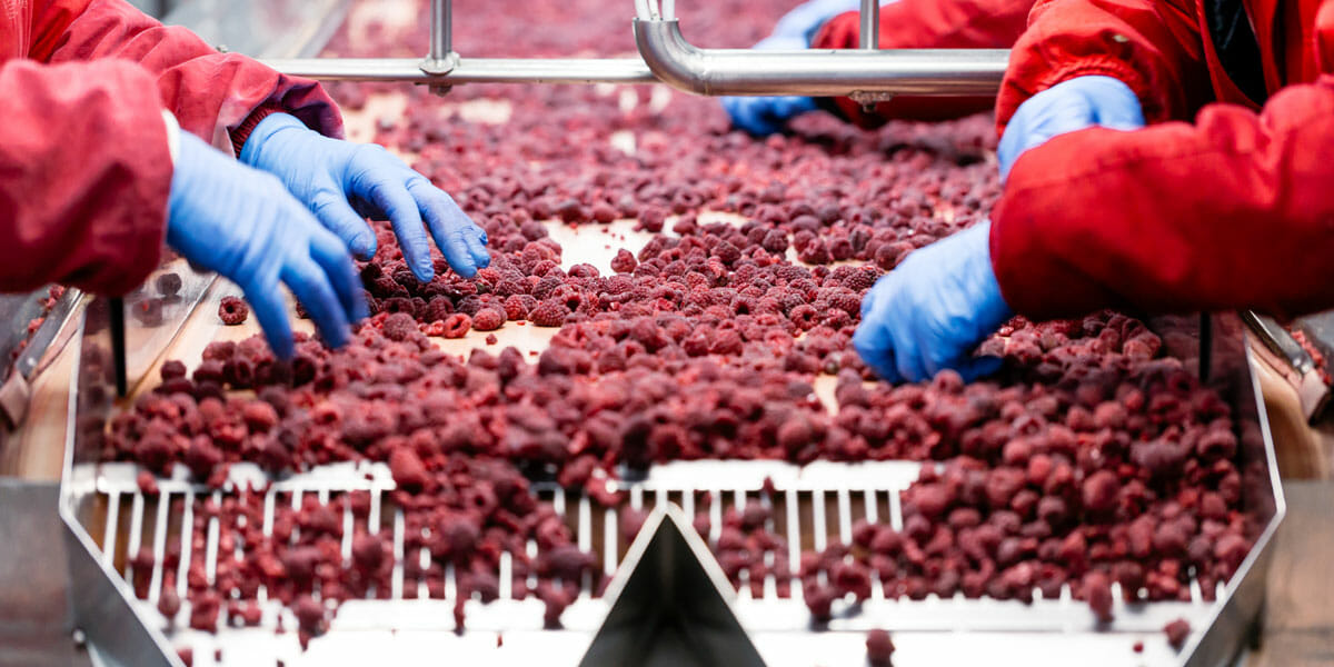 Three high humidity problems food processors need to fix | Quest
