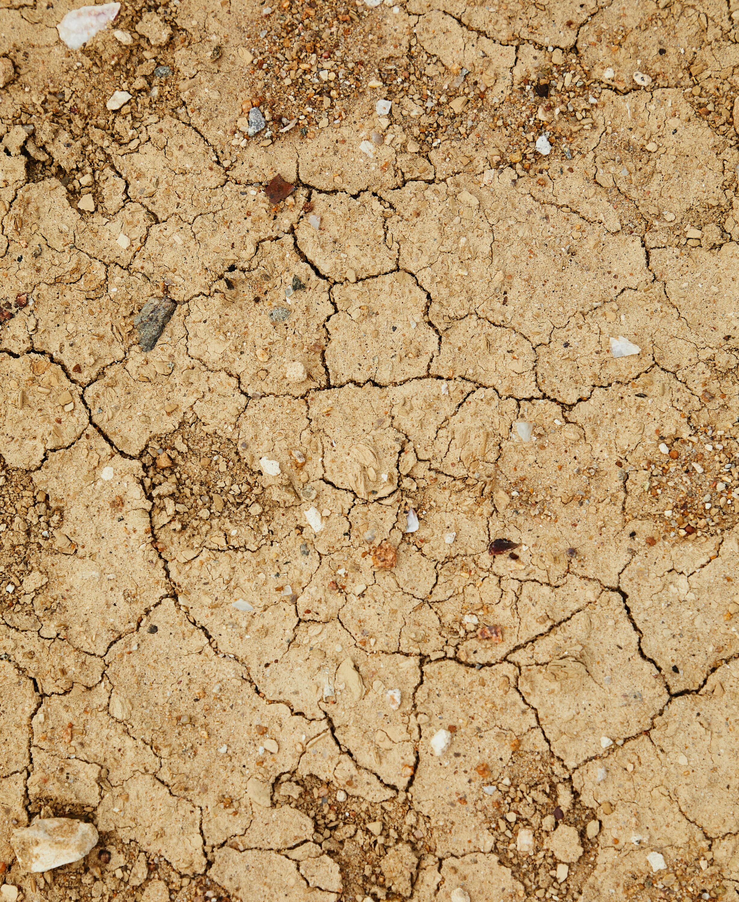 Close up of dried up earth with cracks in it 