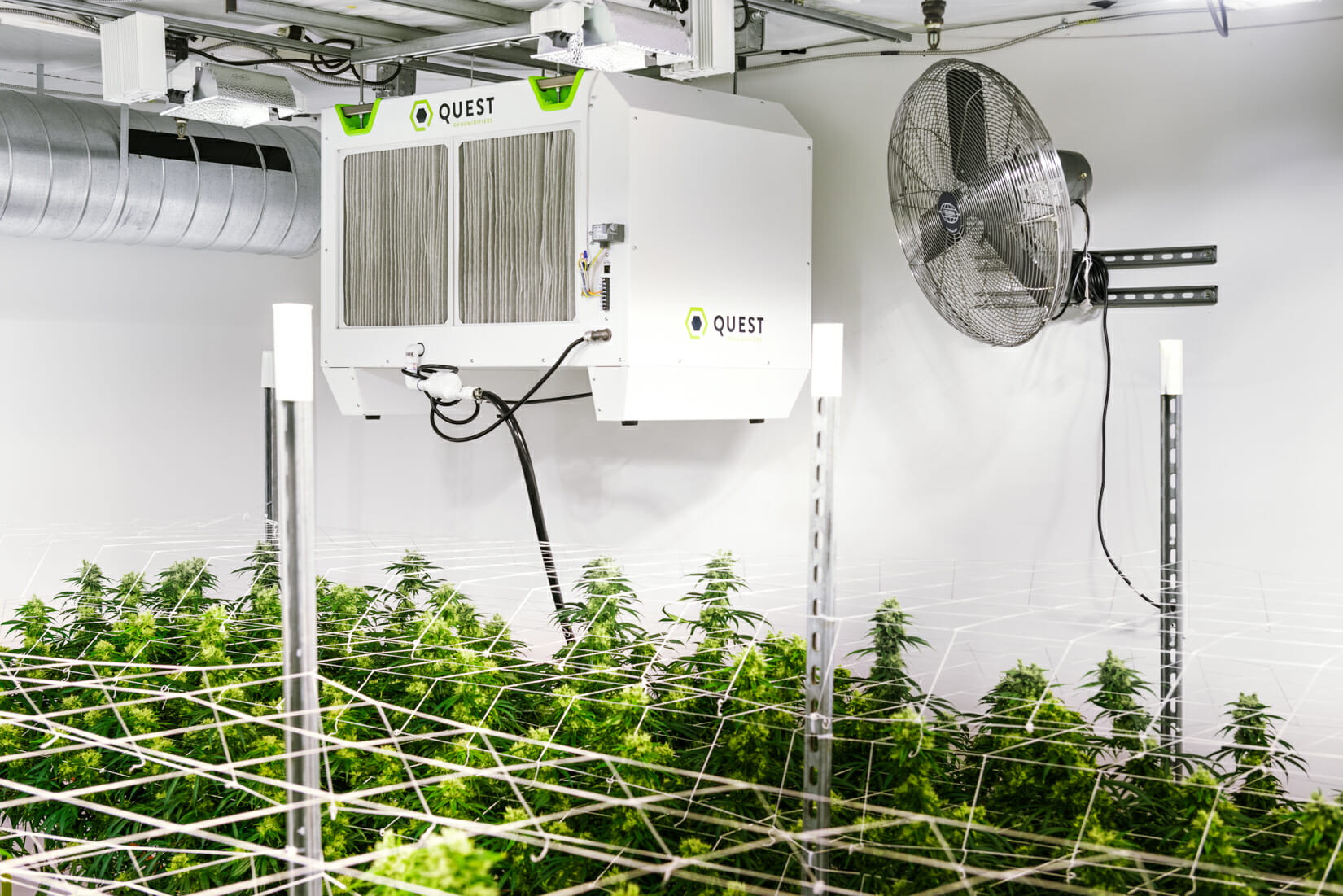 The Quest 506 is a large-capacity dehumidifier used in cannabis grow rooms.