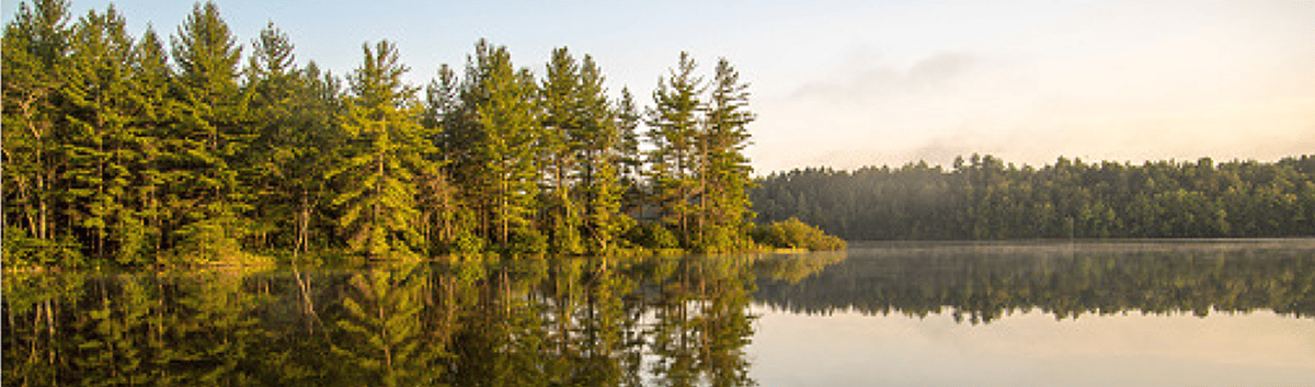 Midwest lake view at dusk, showing reflection of trees on the surface of the water