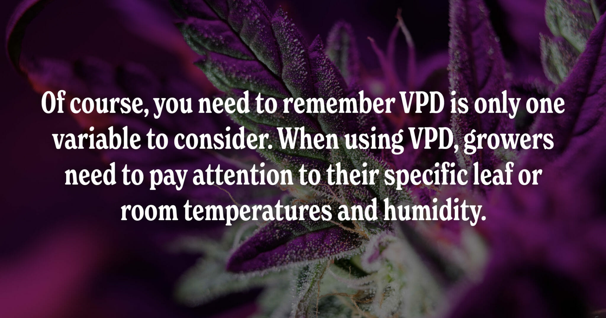 VPD is only one variable to consider. Also pay attention to specific leaf or room temperatures and humidity.